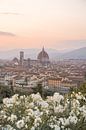 Sunset In Florence - Italy by Henrike Schenk thumbnail