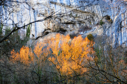 Goldener Herbst