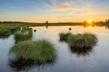 Hautes Fagnes en Belgique