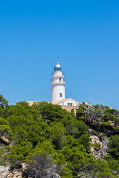 Mallorca, Green forest at lighthouse of cape capdepera by adventure-photos