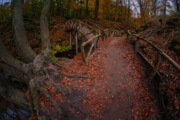 chemin vers. sur peterheinspictures