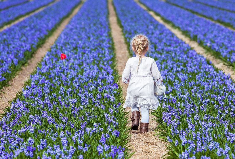 Klein meisje in Hollands bloemenveld van Inge van den Brande