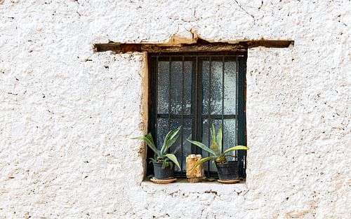 Window