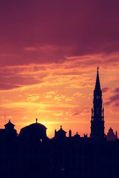 Silhouet skyline Brussel van Daan Duvillier | Dsquared Photography