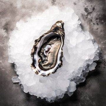 Rustic photo of an Oyster on ice by Roger VDB
