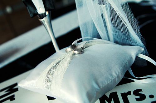 ring kussen von peter desmet