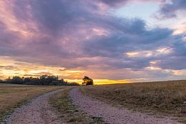 Prachtvolle Farben am Rhein