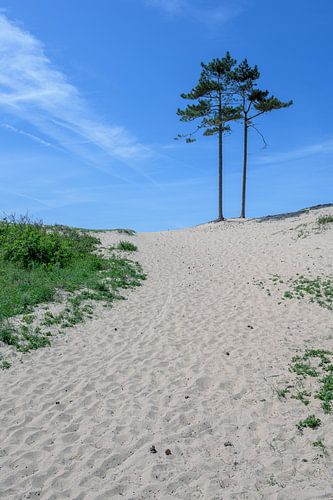 Steps in the sand
