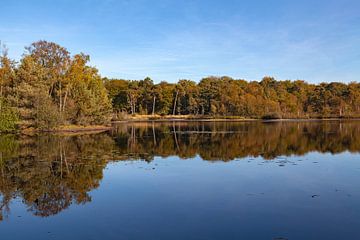 Reflecties bij de Oisterwijkse Bossen en Vennen van Nel Diepstraten