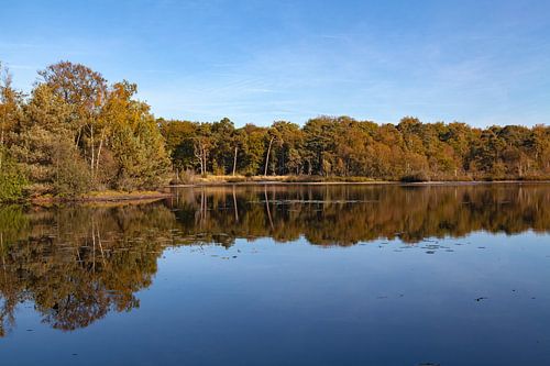 Reflecties bij de Oisterwijkse Bossen en Vennen sur Nel Diepstraten