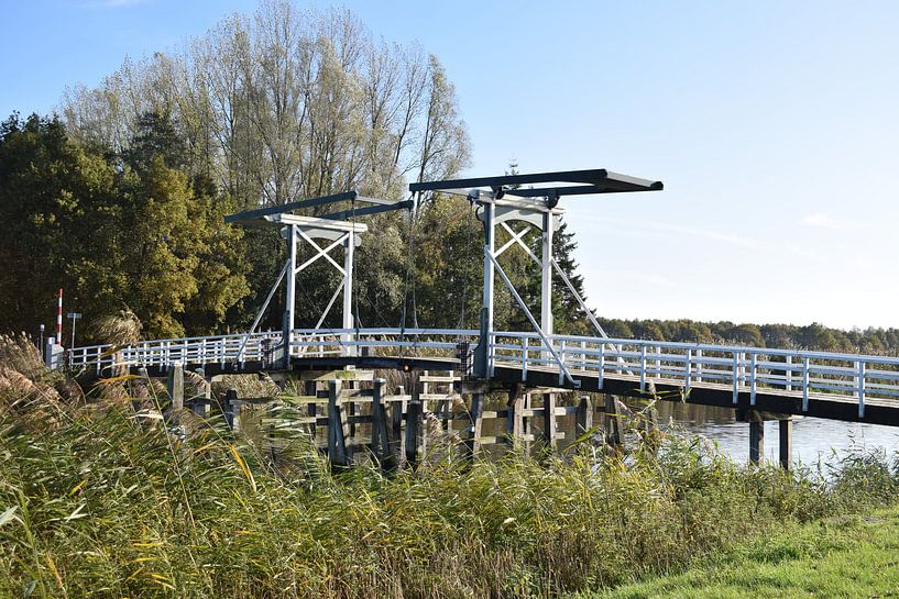 Bridge by Colinda De Vries - Trof
