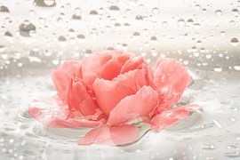 Blume im Wasser von Yvonne van G.