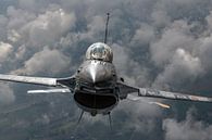 F-16 "Dark Falcon" air-to-air gefotografeerd boven België. van Jaap van den Berg thumbnail