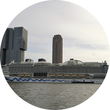 Cruiseschip AIDAprima in Rotterdam van Travelled4u