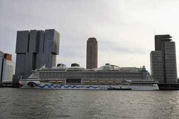 Cruiseschip AIDAprima in Rotterdam van Travelled4u