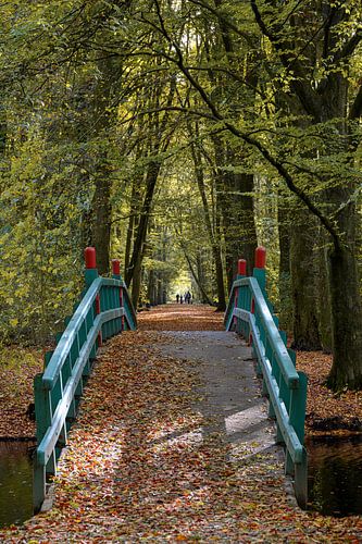 Amsterdamse  Bos