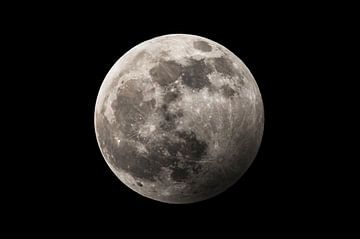 Volle maan in de donkere nacht van Sjoerd van der Wal Fotografie