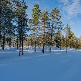 Belle chute de neige sur Kevin Pluk