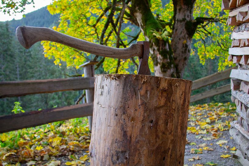 Axt in einem Holzstamm von Marco Leeggangers