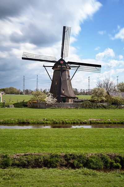 Kinderdijk par Luc Buthker