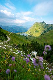 Flowery view of the Seealpsee in the Allgäu Alps by Leo Schindzielorz