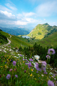 Blumige Aussicht auf den Seealpsee in den Allgäuer Alpen