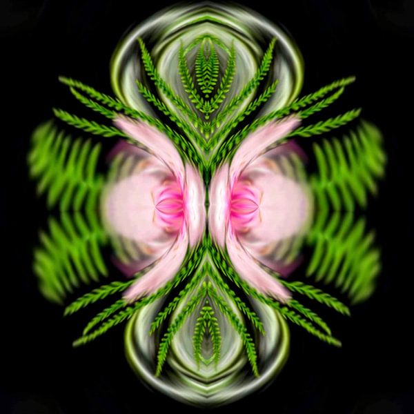 Flower Geometry by Nina IoKa