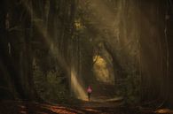 Running in the magical forest by Moetwil en van Dijk - Fotografie thumbnail