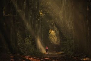 Laufen im magischen Wald