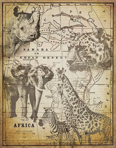 Afrika