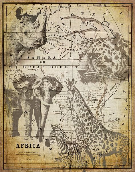 Afrika von Andrea Haase