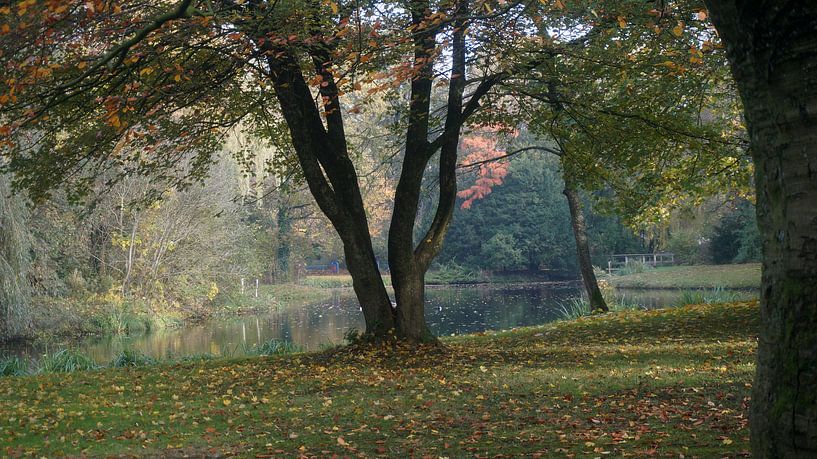 Rengerspark by Dirk de Bood