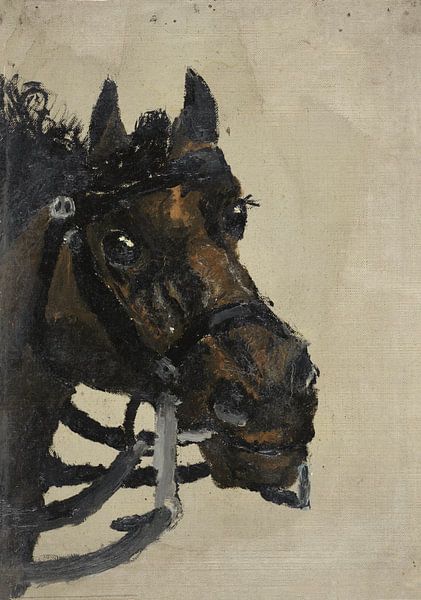 Pferdekopf, Richard Nicolaüs Roland Holst, 1881 von Marieke de Koning