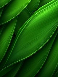 Grüne Wellen von Color Square