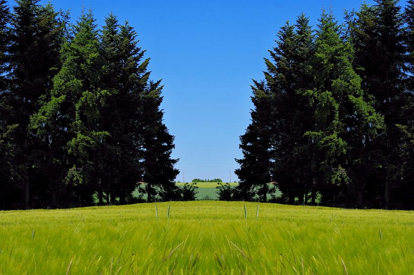 Mirrored landscape by Daniel Dorst
