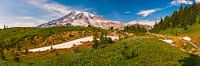 Panorama des Mount Rainier von Henk Meijer Photography Miniaturansicht