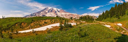Panorama du Mont Rainier