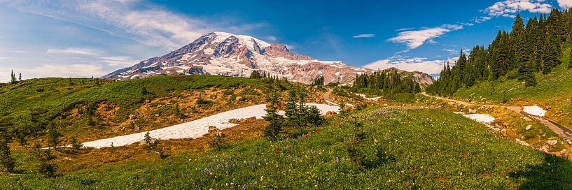 Panorama des Mount Rainier von Henk Meijer Photography