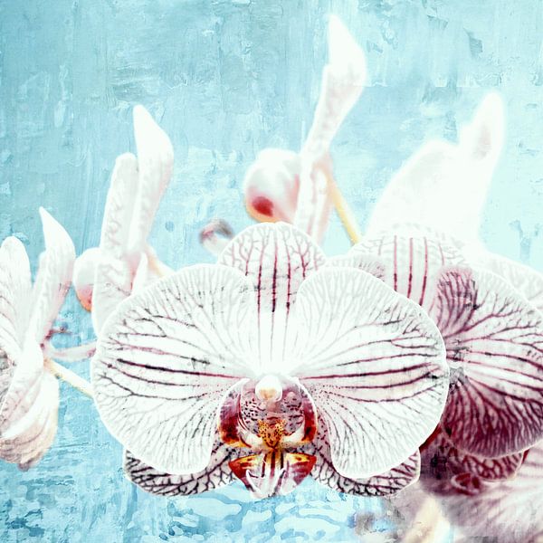 Vintage orchideeën van Mad Dog Art