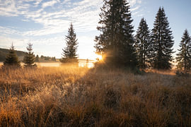 Magischer Sonnenaufgang im moorigen Hochland von Přebuz im Erzgebirge von Jiri Viehmann