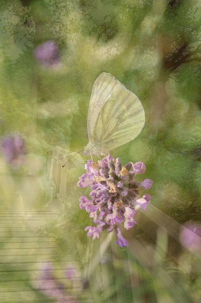 Abstrakte Fotografie | Abstrakter Expressionismus | Porträt eines Schmetterlings von Art. by Janine