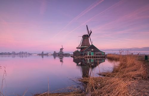 Zonsopkomst bij de zaanse schans