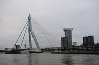 Erasmusbrug in Rotterdam van Eugenlens thumbnail