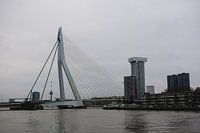 Erasmusbrug in Rotterdam