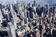 Süd Manhattan vom Empire State Building von Ingrid Meuleman Miniaturansicht