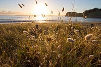 Sunrise at the beach