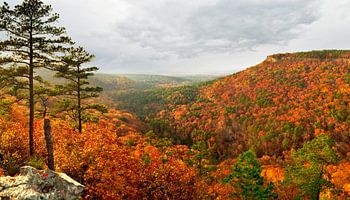 Altweibersommer, USA