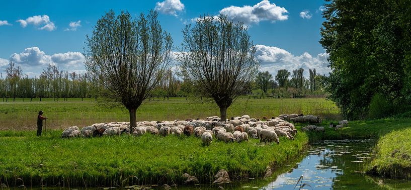 Été par Frank Lavooij