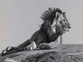 Lion painting