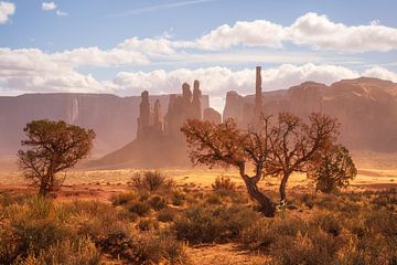 Bomen van Monument Valley II van Martin Podt